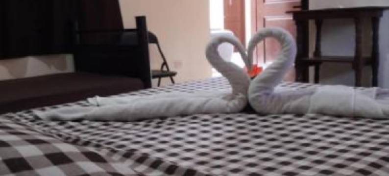 Alme Hostel Playa del Carmen图片