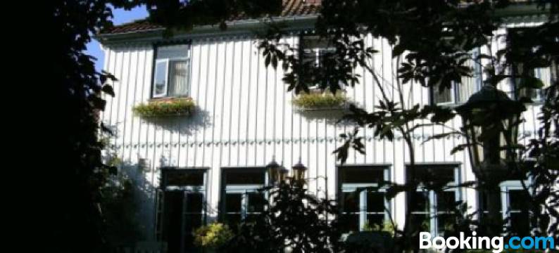 莱塞维茨伽藤(Leisewitz' Garten)图片