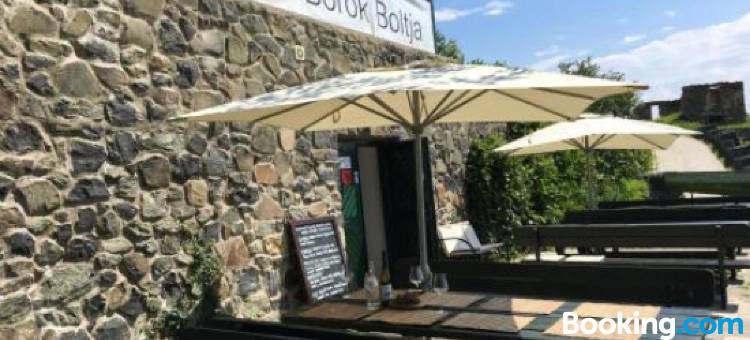 绍姆洛酒庄宾馆(Somlo Wineshop Guesthouse)图片