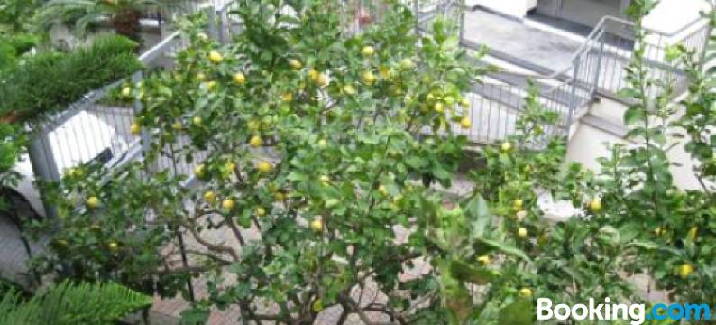 海蓝宝石酒店(Hotel Acqua Marina)图片