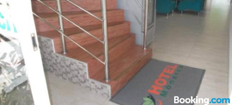 普图马尤摩纳卡酒店(Hotel Monarca Putumayo)图片