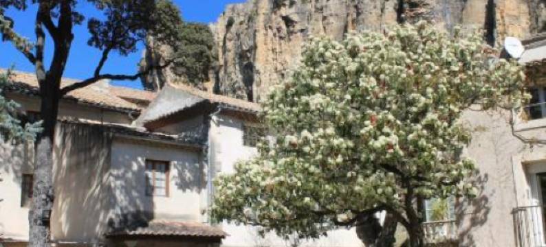 庄园酒店(Hôtel et Restaurant le Manoir - Echangeur A7-A9 - 24h-24h)图片