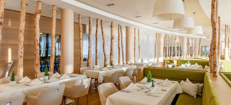 滨湖采尔卡普伦陶恩水疗酒店(Tauern Spa Hotel & Therme)图片