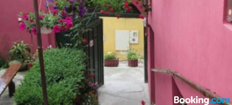 朋斯尼亚克里斯蒂娜帕维尔酒店(Pensiunea Cristina si Pavel)图片