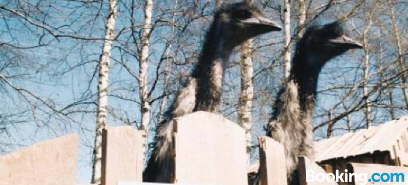 布基娱乐露营地(Atpūtas Vieta Buki)图片