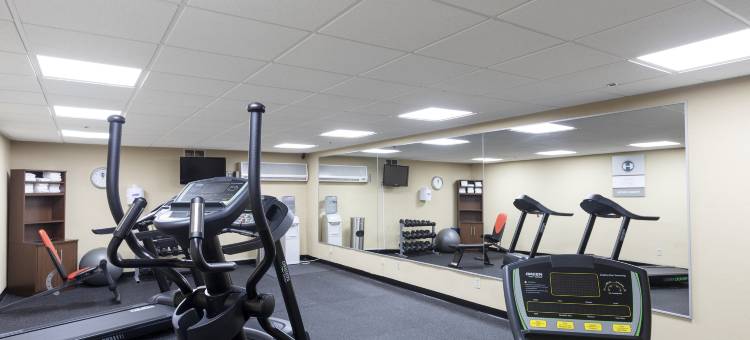 底特律大都会机场克拉丽奥酒店(Clarion Hotel Detroit Metro Airport)图片