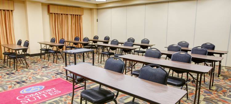 舒适套房酒店-比尤达奥斯汀南(Comfort Suites Buda - Austin South)图片