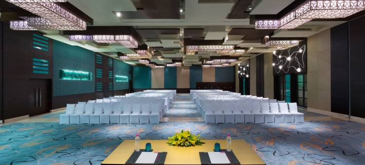 大诺伊达皇冠假日酒店(Crowne Plaza Greater Noida)图片