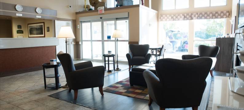 兰利舒适酒店(Comfort Inn & Suites)图片