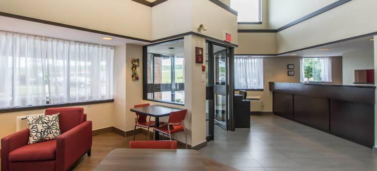 舒适酒店(Comfort Inn)图片