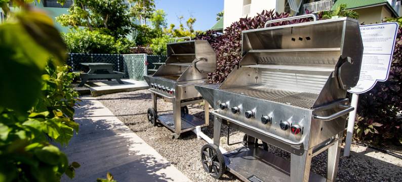 卡尔港康福特套房度假酒店(Ports of Call Resort)图片