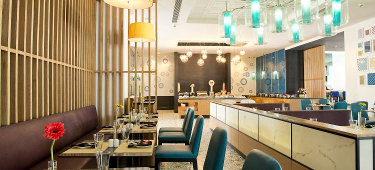 新德里 IP 扩展区丽柏酒店(Park Inn by Radisson New Delhi IP Extension)图片