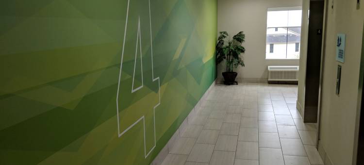 智选假日套房酒店得克萨斯城(Holiday Inn Express & Suites Texas City)图片