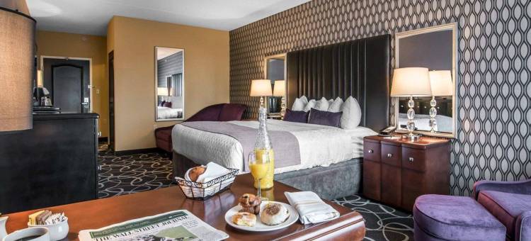 公园庄园酒店(Park Manor Hotel)图片