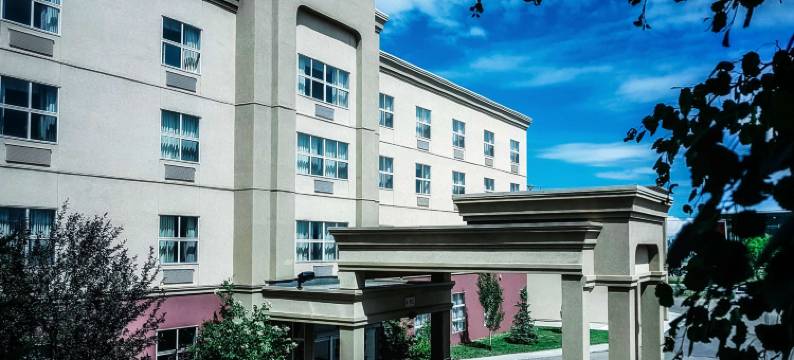 埃德蒙顿国际机场希尔顿欢朋套房酒店(Hampton Inn & Suites by Hilton Edmonton International Airport)图片