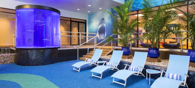 尼亚加拉瀑布喜来登酒店(Sheraton Niagara Falls)图片