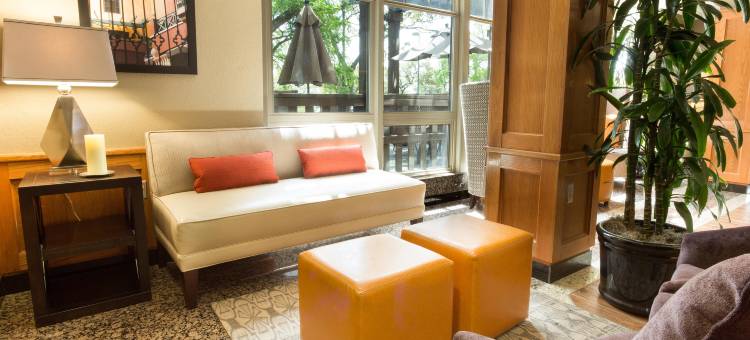 圣安东尼奥北-石橡树德鲁里套房酒店(Drury Inn & Suites San Antonio North Stone Oak)图片