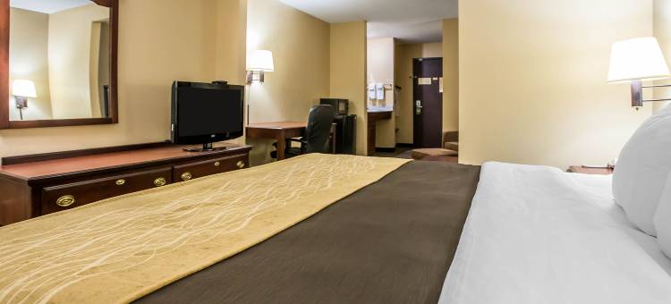 门多塔凯艺套房酒店 - 近 I-39(Quality Inn & Suites Mendota Near I-39)图片