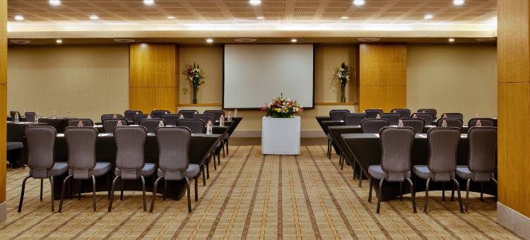 格拉瑞亚瑞福玛广场酒店(Galeria Plaza Reforma)图片