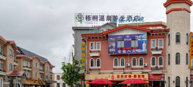 安顺梧桐温泉养生酒店(西秀区安顺西站店)图片