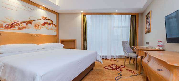 维也纳酒店(郴州市政府店)图片