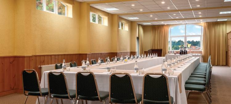 丽柏酒店-维拉斯港(Park Inn by Radisson, Puerto Varas)图片