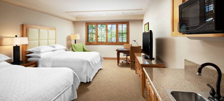 拉霍亚喜来登酒店(Sheraton La Jolla)图片