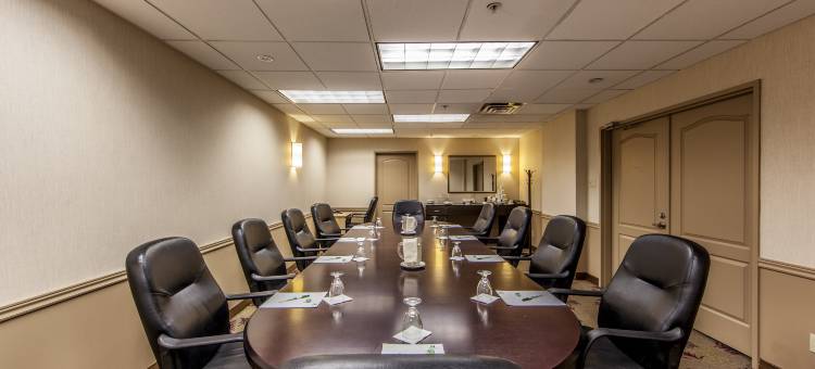 蒙特利尔机场丽笙酒店(Radisson Hotel Montreal Airport)图片