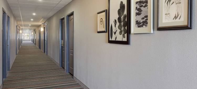 哈利森丽怡酒店(Country Inn & Suites by Radisson, Harrisonburg, VA)图片