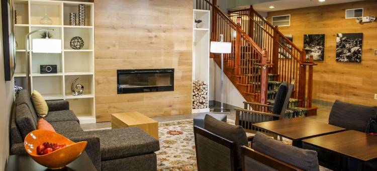 华盛顿杜勒斯国际机场丽怡酒店(Country Inn & Suites by Radisson, Washington Dulles International Airport, VA)图片