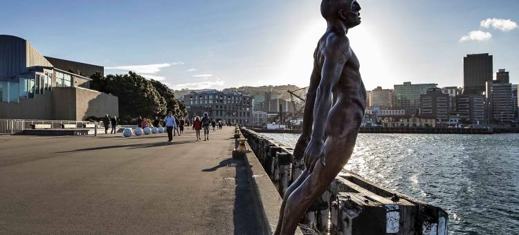 惠灵顿宜必思酒店(Ibis Wellington)图片