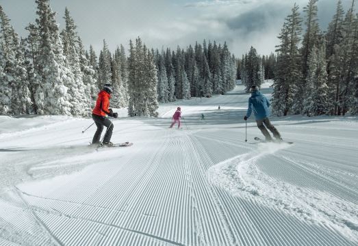 Settlers Lodge 203ST Hotel Overview