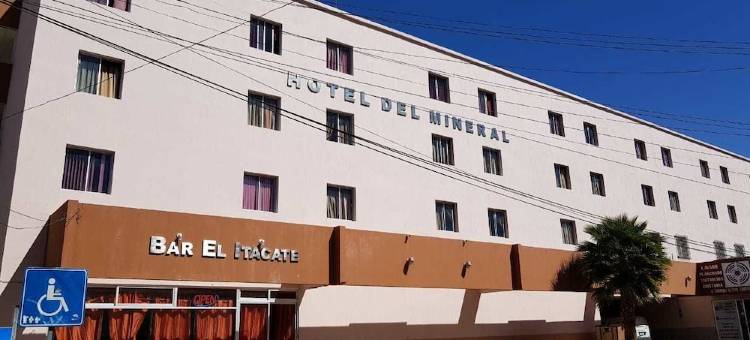 矿物质萨酒店(Hotel Del Mineral S.A.)图片