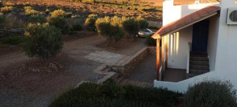 Studios Fokies图片