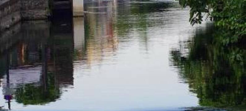 Mas et Gite de la Picholine图片