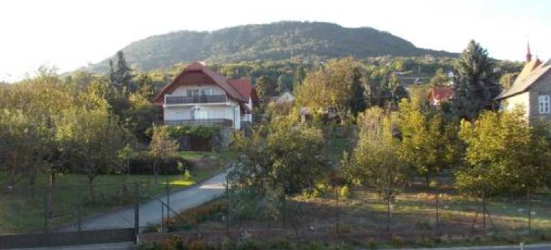 哈啦斯科尔特巴达索尼酒店(Hotel Halászkert Badacsony)图片