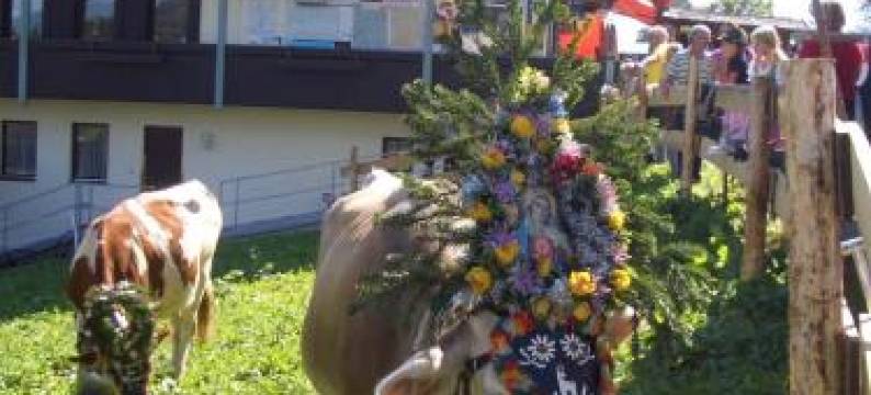 莫达假日之家酒店(Moida-Ferienwohnung)图片