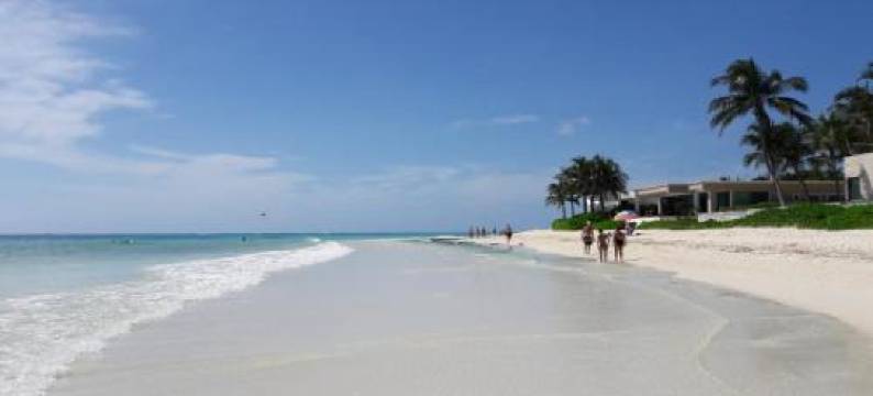 Alme Hostel Playa del Carmen图片