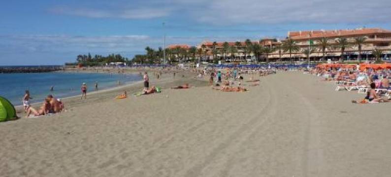 Apartmento Cactus II图片