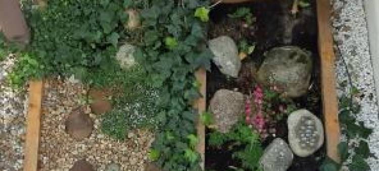 艾斯帕家度假屋(La Espiga)图片