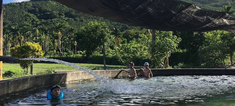 Breadfruit B&B图片