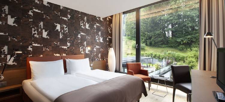 定制酒店-SIHLPARK-辛德莱吉(Tailormade Hotel SIHLPARK Schindellegi)图片