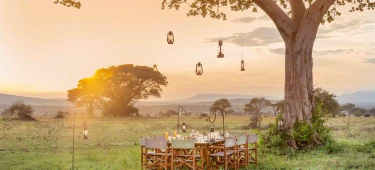 塞伦盖蒂美利亚酒店(Meliá Serengeti Lodge Member of Meliá Collection)图片