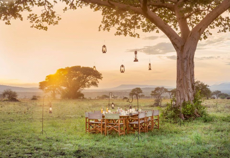 Meliá Serengeti Lodge Member of Meliá Collection Hotel Overview