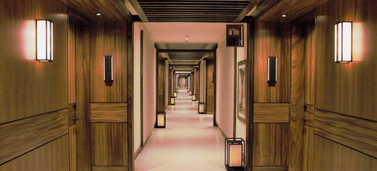 洛斯卡波斯诺布酒店(Nobu Hotel Los Cabos)图片