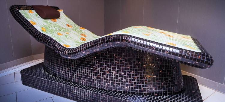 诺富特塔拉萨狄娜德酒店(Emeria Dinard Thalasso Spa)图片