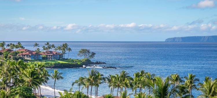 Wailea Point, A Destination by Hyatt Residence图片