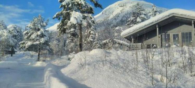 耶尔斯特里阿海特顿酒店(Jølsterlia Hyttetun)图片