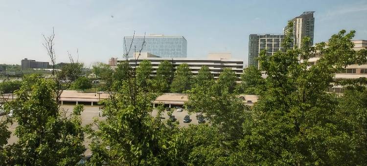 麦克莱恩泰森斯科纳希尔顿酒店(Hilton McLean Tysons Corner)图片