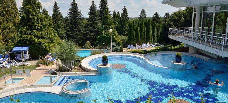 恩萨纳温泉水酒店(Ensana Thermal Aqua)图片